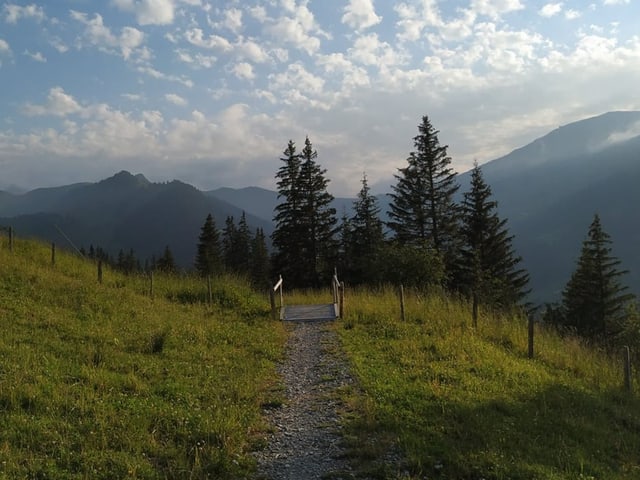 Wanderweg am Waldrand bei Adelboden.