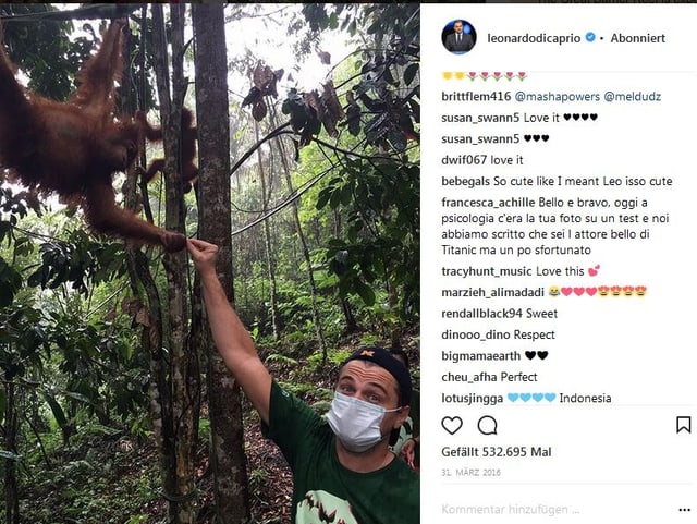 Leonard Di Caprio im Urwald mit einem Orang-Utan