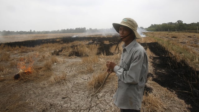 Im dürregeplagten Mekong-Delta.