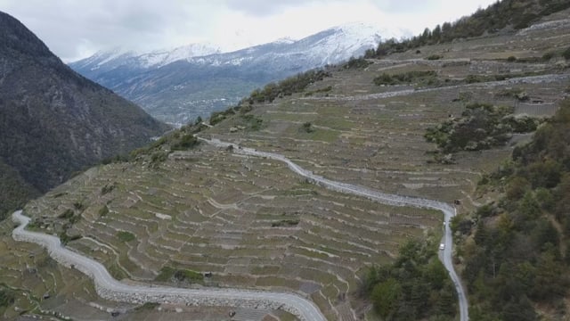 Blick auf Walliser Rebbaugebiet.