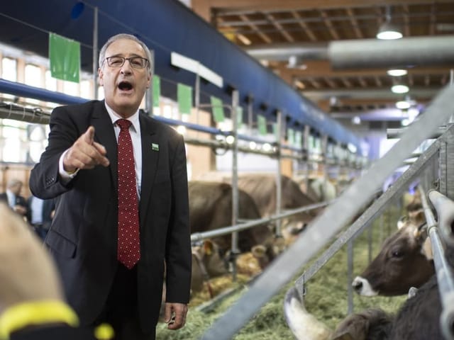 Bundespräsident Guy Parmelin steht im Stall. 