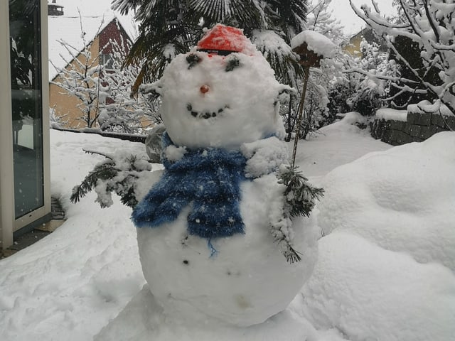 Snowman in a snowy garden.