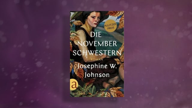 Buchcover von Jospehine W. Johnsons «Die Novemberschwestern».