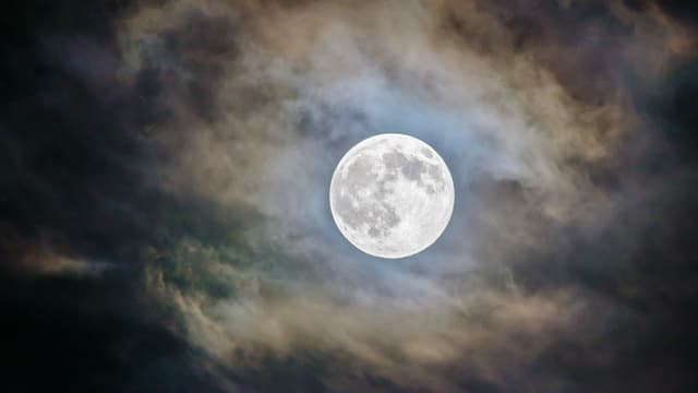 Ein Vollmond in einer dunklen Nacht.