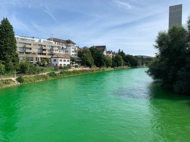 Das Wasser der Limmat erscheint ungewöhnlich grün.