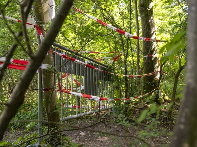 Absperrbänder aus Plastik zwischen Bäumen im Wald.