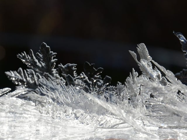 Schneekristalle unter Mikroskop 