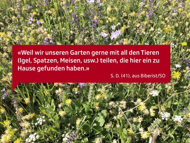 Weil wir unseren Garten gerne mit all den Tieren (Igel, Spatzen, Meisen, usw.) teilen, die hier ein zu Hause gefunden haben.