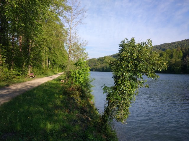 Naturweg entlag der Aare.