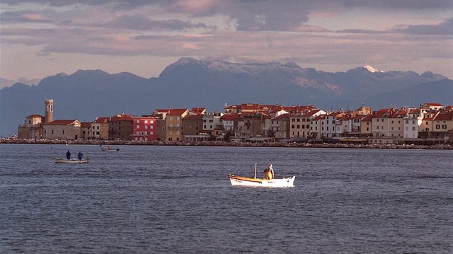 Ein Fischer auf einem weissen Boot in der Bucht der slowenischen Stadt Piran, im Hintergrund Berge.