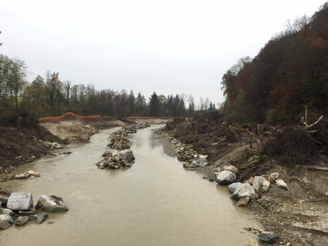 Fluss mit abgeholzem Wald nebenan.