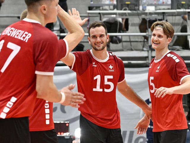 Die Schweizer Volleyballer.