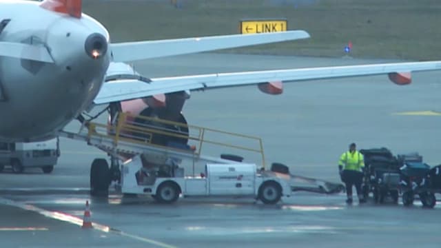 Auf dem Flughafen Genf wird Gepäck in ein Flugzeug verladen.