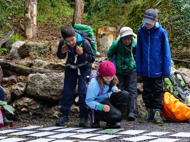 Kinder spielen Memory draussen in der Natur.