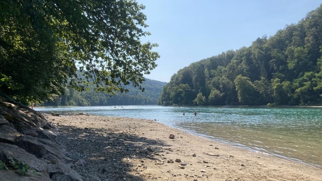 Trockengelegtes Ufer des Rheins