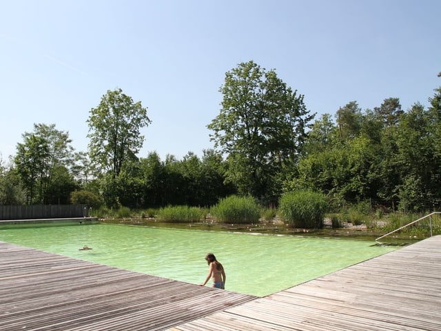 Bio-Schwimmteich in Biberstein