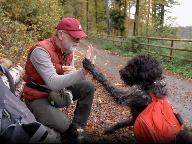 Hund Kari gibt Paul ein Highfive.