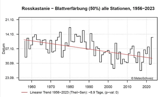 Blattverfärbung: 8,9 Tage früher