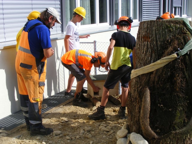 Kinder stellen ein Igelhaus an seinen Platz. 