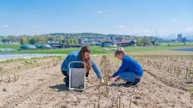 Reporterin Angi und Mike auf dem Feld