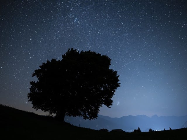 Sternschnuppen der Perseiden ziehen über die Landschaft.