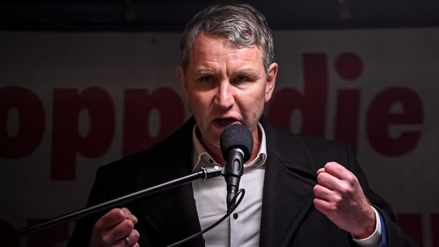 Höcke spricht in ein Mikrofon.