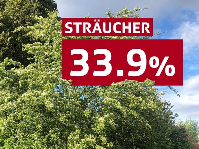 33.9 % Sträucher