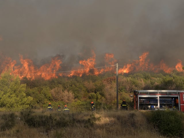 Waldbrand mit Feuerwehrleuten und Feuerwehrauto.