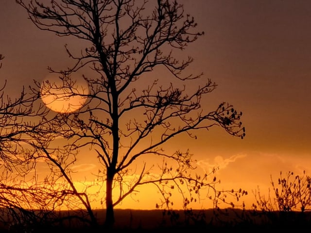 Wunderbarer Sonnenaufgang.