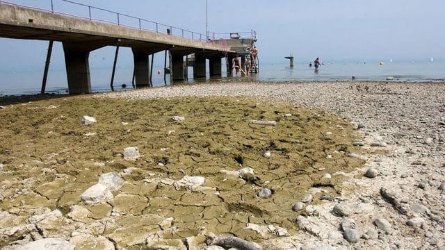 Trockenheit Bodensee im Jahr 2003