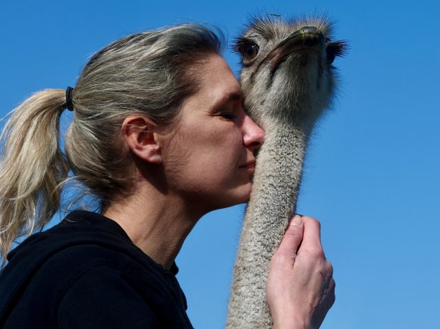 Frau kuschelt mit Straussenvogel. Nahaufnahme.