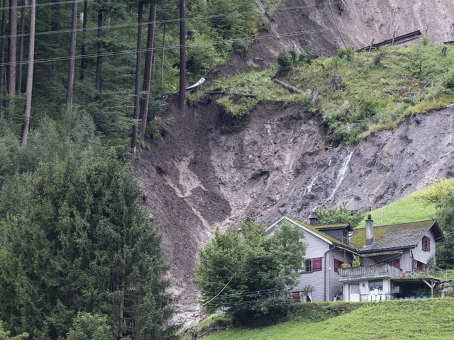 Haus hinter einem Baum, dahinter ein abgerutschter Hang