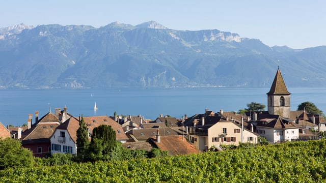 Eine Waadtländer Gemeinde im Lavaux am Genfersee.