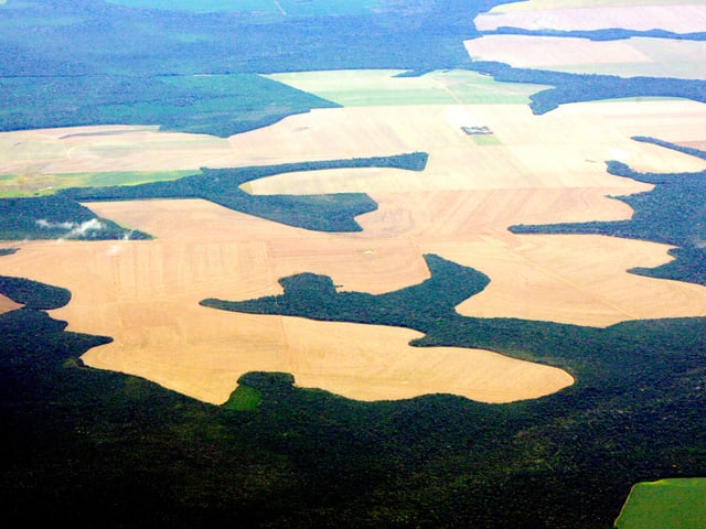 Bild von oben: Die braunen Flecken sind die gerodeten Gebiete im grünen Regenwald.