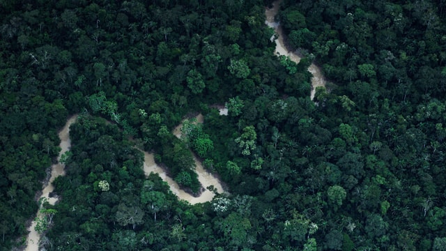 Eine Luftaufnahme des Regenwaldes im Nordwesten Brasiliens.