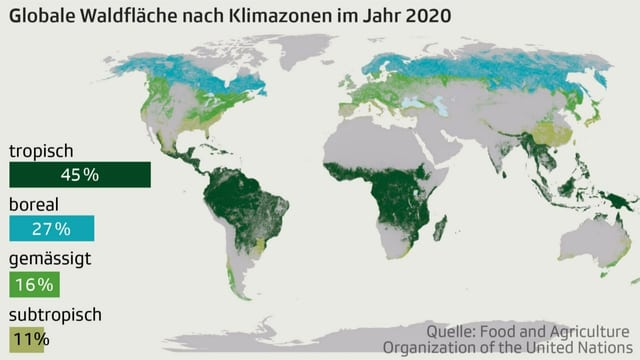 Globale Waldfläche nach Klimazonen im Jahr 2020