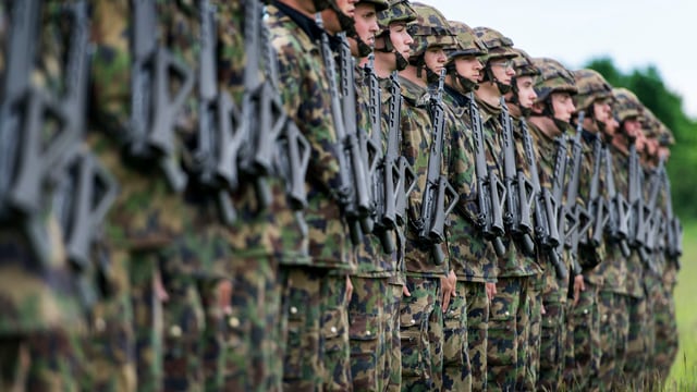 Soldaten stehen aufgereiht. 