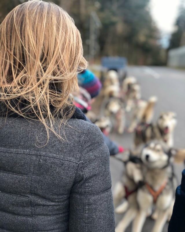 Anna und im Hintergrund ganz viele Huskys.