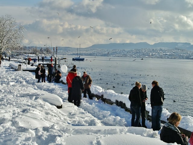 Viel Schnee am See.