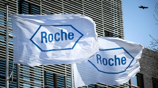 Roche logo.