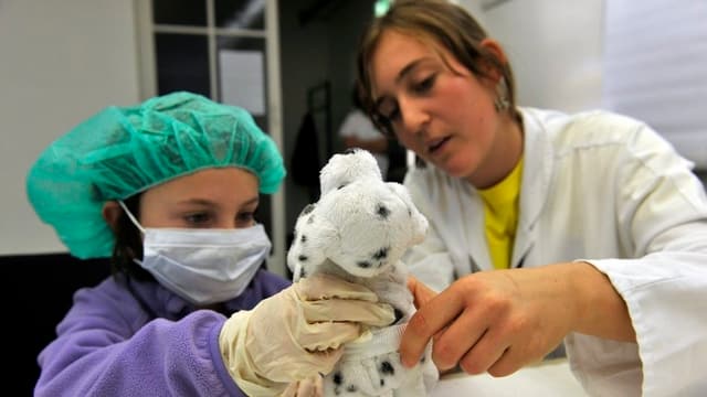 Eine Ärztin «behandelt» mit einem Mädchen mit Mundschutz und Gummihandschuhen ein Plüschtier.