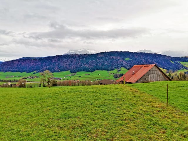 Grüne Wiese mit Haus darauf. Dahinter Wald und bewölkter Himmel.