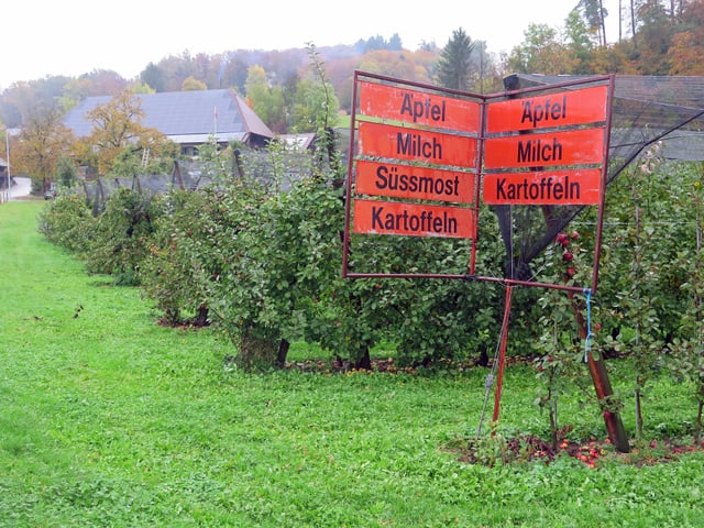 Vorne ein Schild mit den Angeboten wie Äpfel oder Milch, dahinter Obstbäume.