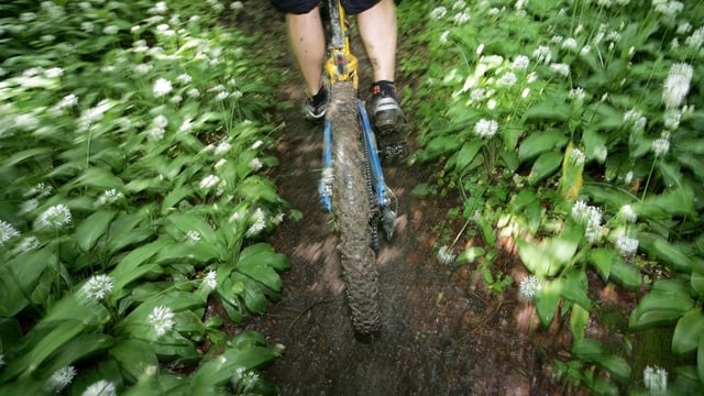 Biker im Wald