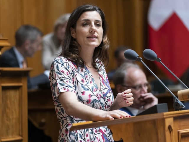 Flavia Wasserfallen spricht im Parlament