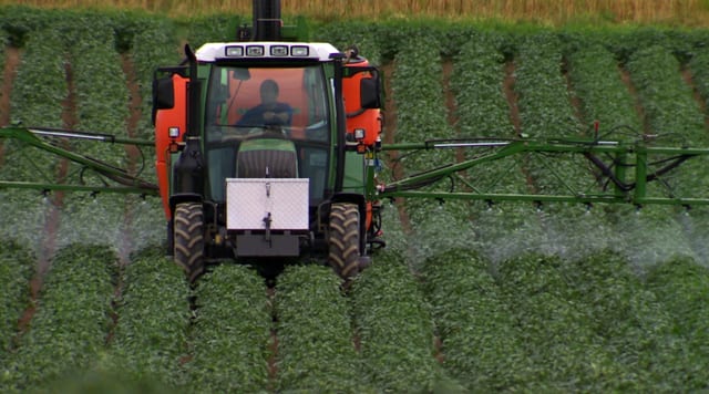 Bis zum Letzten: Konventionelle Spritzmittel werden wegen Resistenzen in den Kulturen immer unwirksamer. Neue Pestizide sind giftiger und bergen unbekannte Auswirkungen. (Traktor spritzt Pestizide auf Kartoffelfeld)