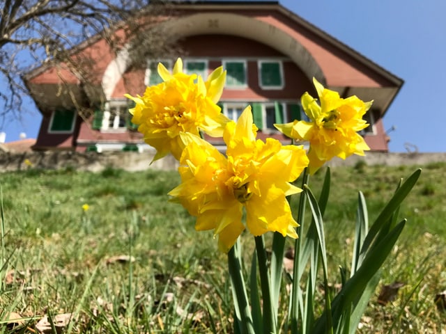 Frühlingsgefühle beim Wandern.