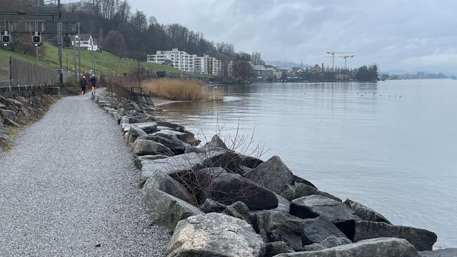 Seeuferweg zwischen Wädenswil und Richterswil.