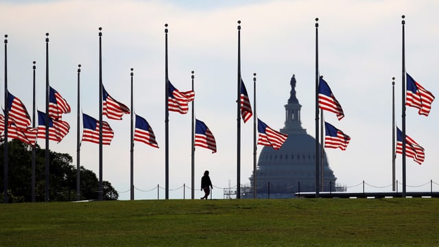 An mehreren Fahnenmasten hängen USA-Fahnen auf Halbmast, dahinter die Silhouette des US-Kapitols in Washington DC.