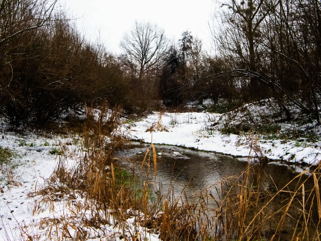 River with snowy banks